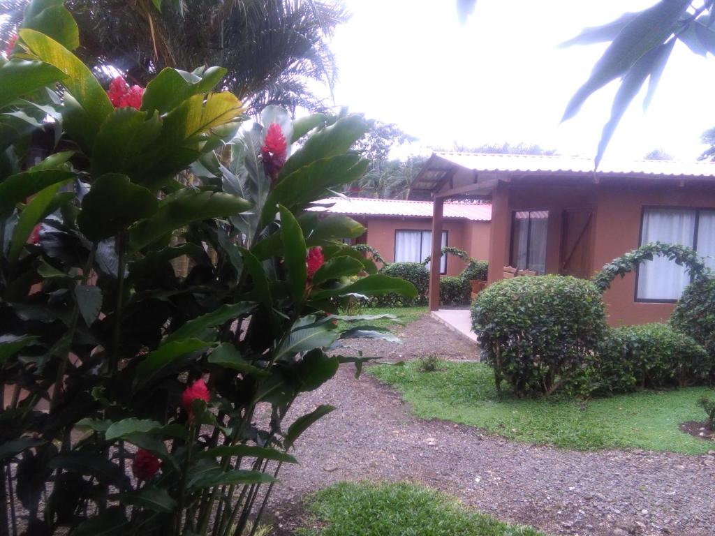 Slow Travel Lodge photo 1