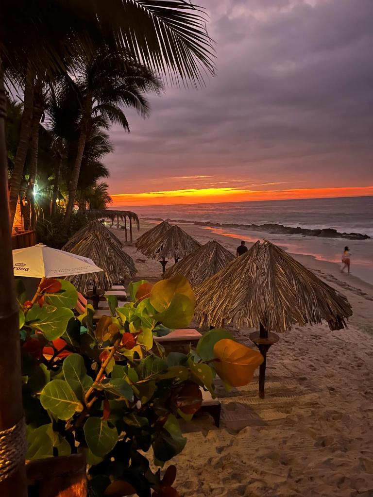 Los Corales photo 3