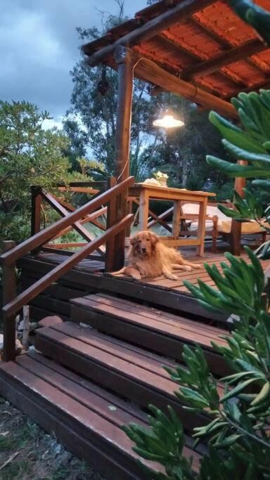 Hermosa Casa en Bella Vista! photo 2