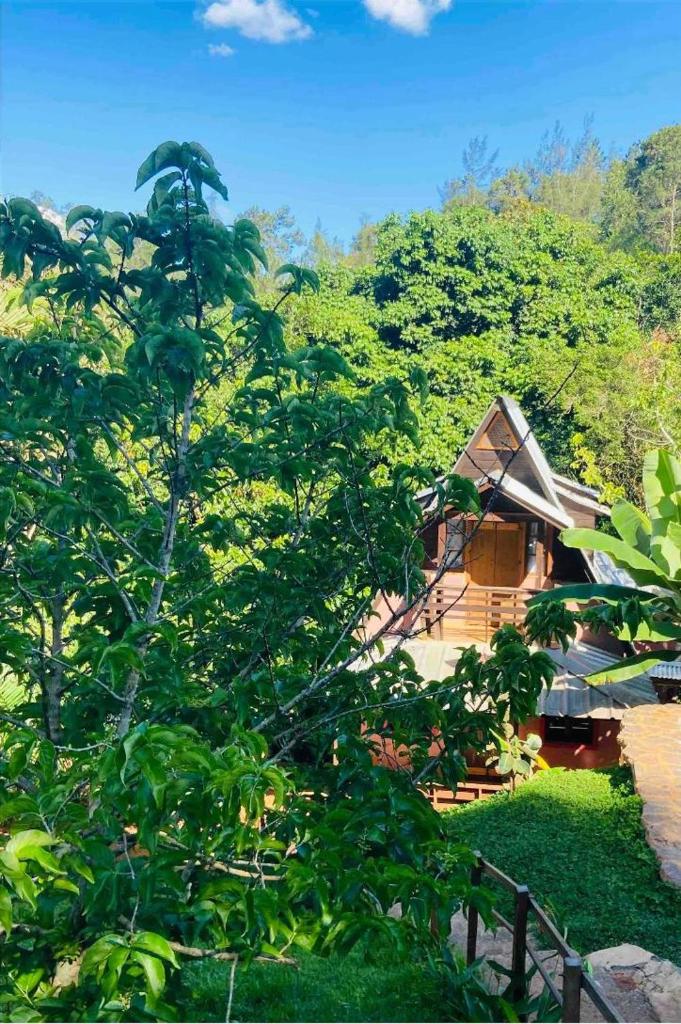 El campo en Jarabacoa