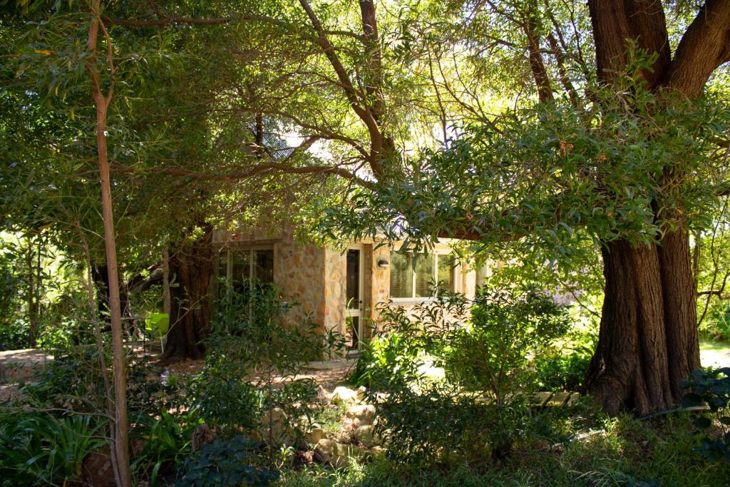 Umami Mountain Retreat photo 3