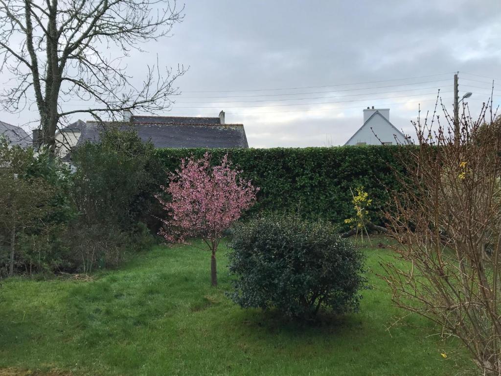 chambre double chez Catherine et Jean-Luc en Bretagne photo 2