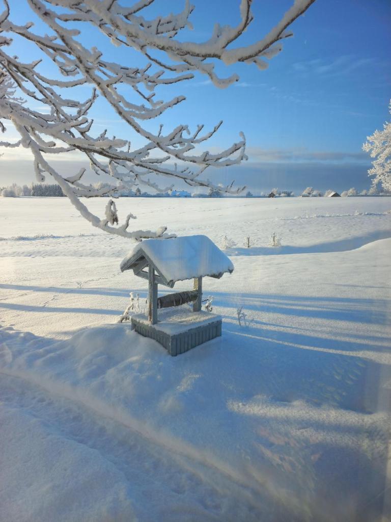 Kopli majutus photo 1