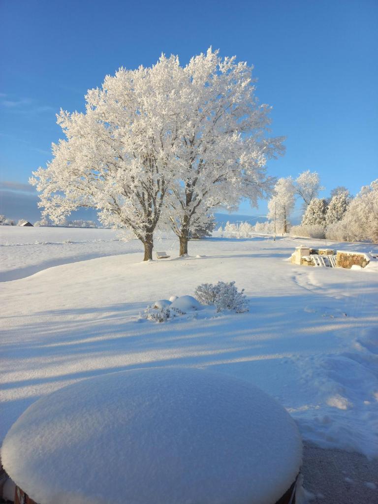 Kopli majutus photo 4