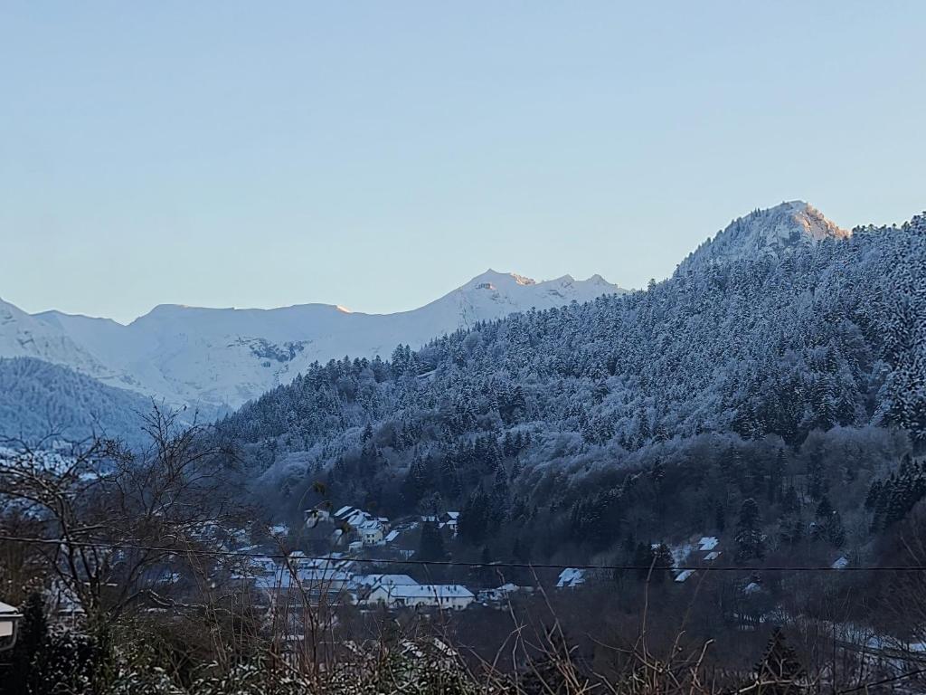 MONETTE 1 photo 1