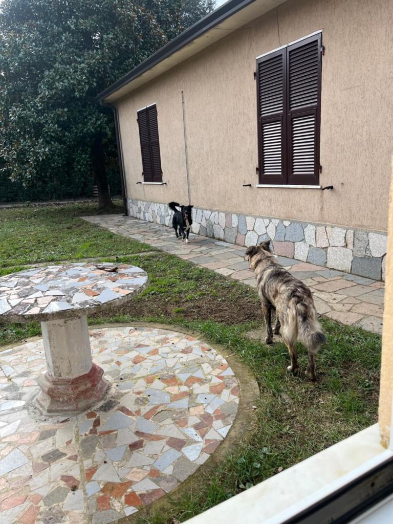 Casavacanze Azzurra photo 3