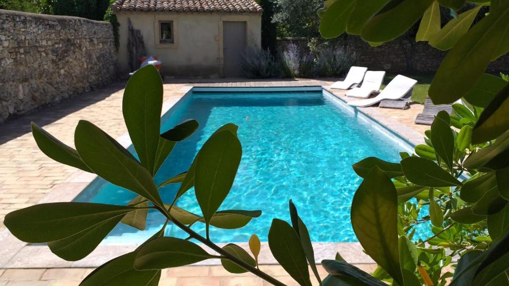 La Casalissa photo 1