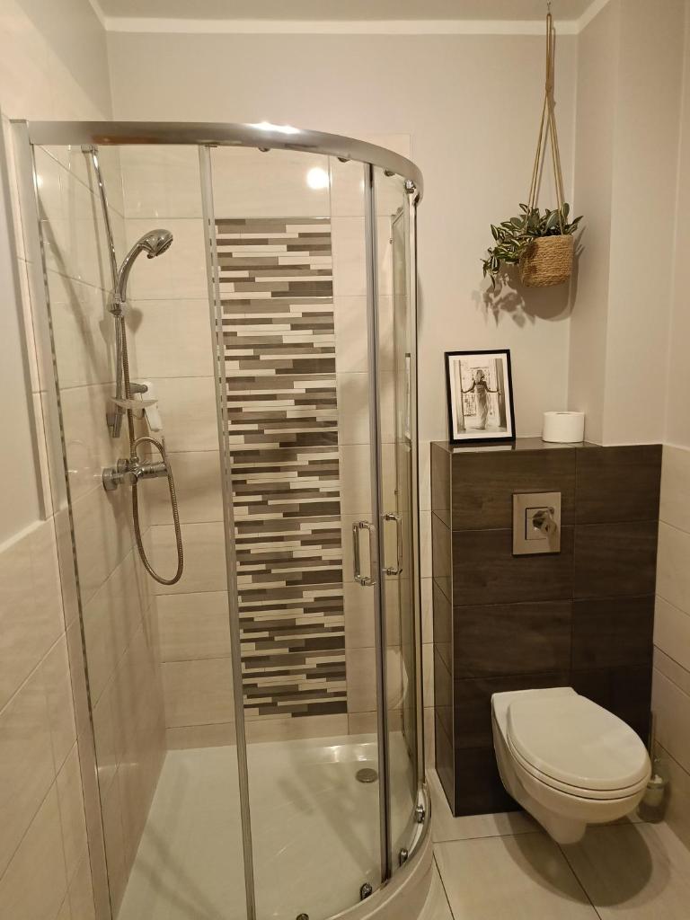 Apartamenty EDK photo 4