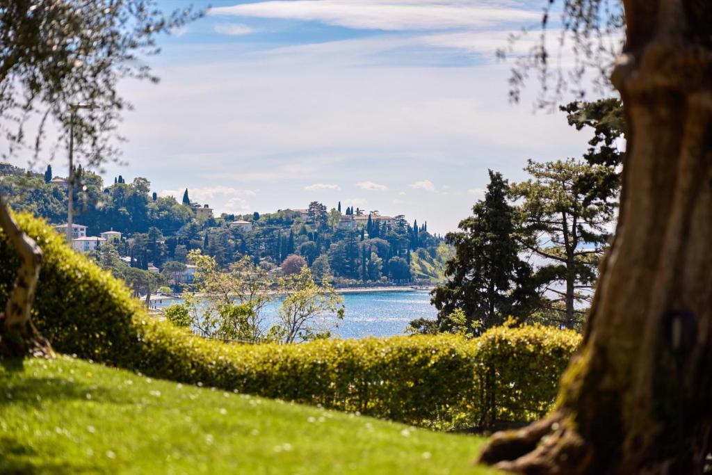 CallaLillyJardin photo 3