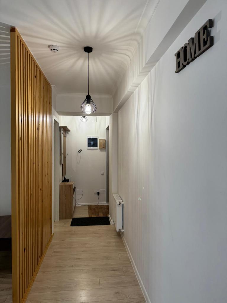 Testemitanu Apart photo 1