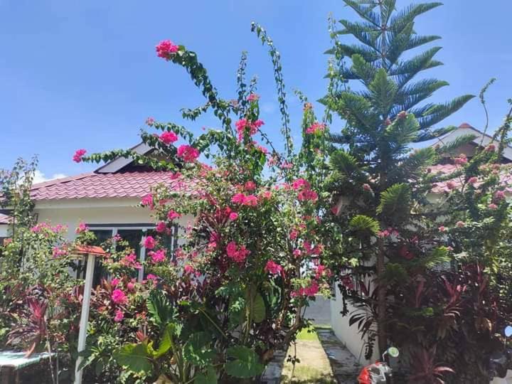Langkawi Homestay Bunga Padi photo 1
