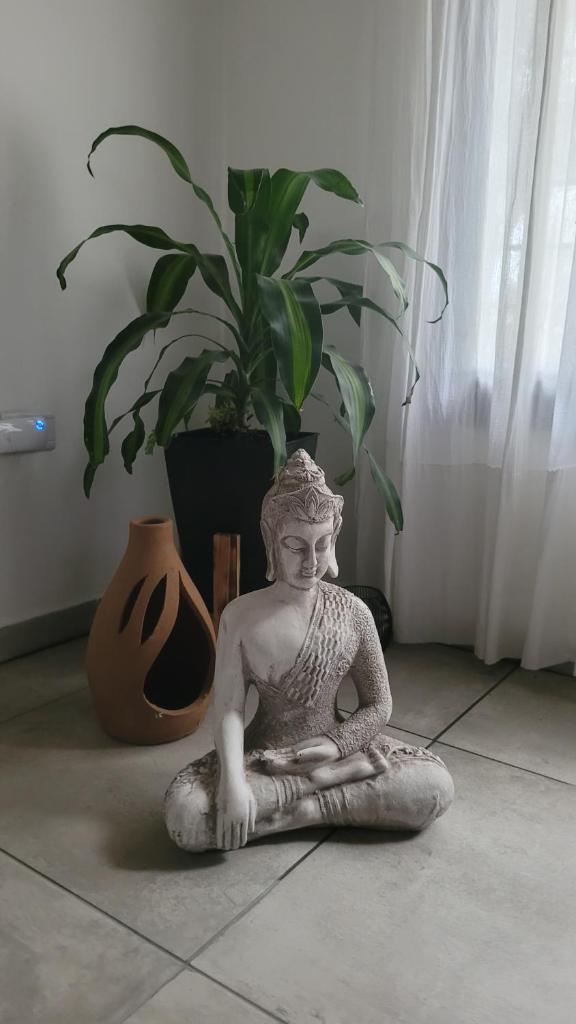 Casa Buda photo 4