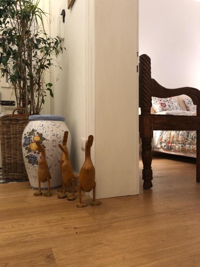 New ISA's Fine Apartment