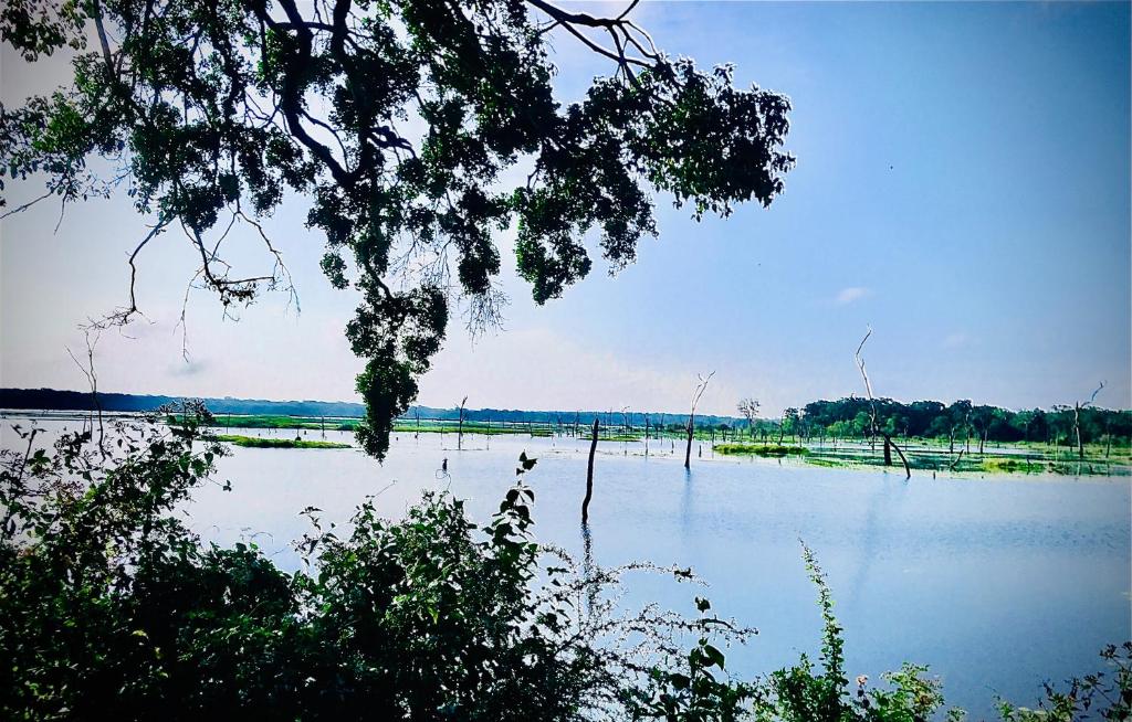 LAKE NEST resort photo 4