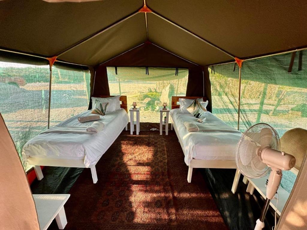 Daureb Isib Campsite and B&B photo 1