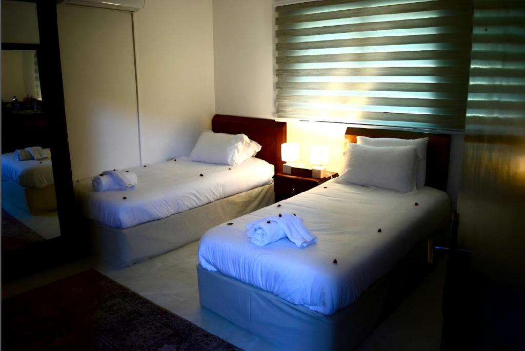 Marvel Hostel photo 4