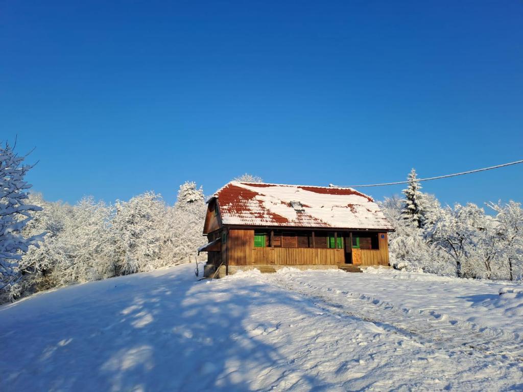 Bakina iža photo 3