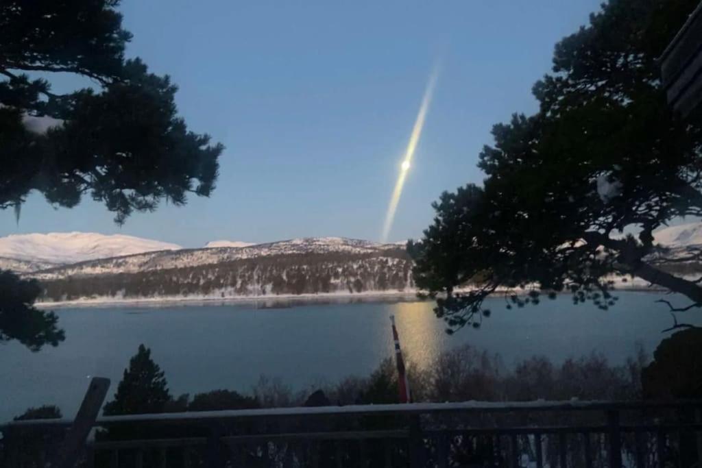 Drømmehytta på Senja photo 1