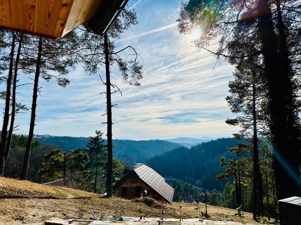 Romantic cabin with hot/cold tub and finnish sauna photo 4