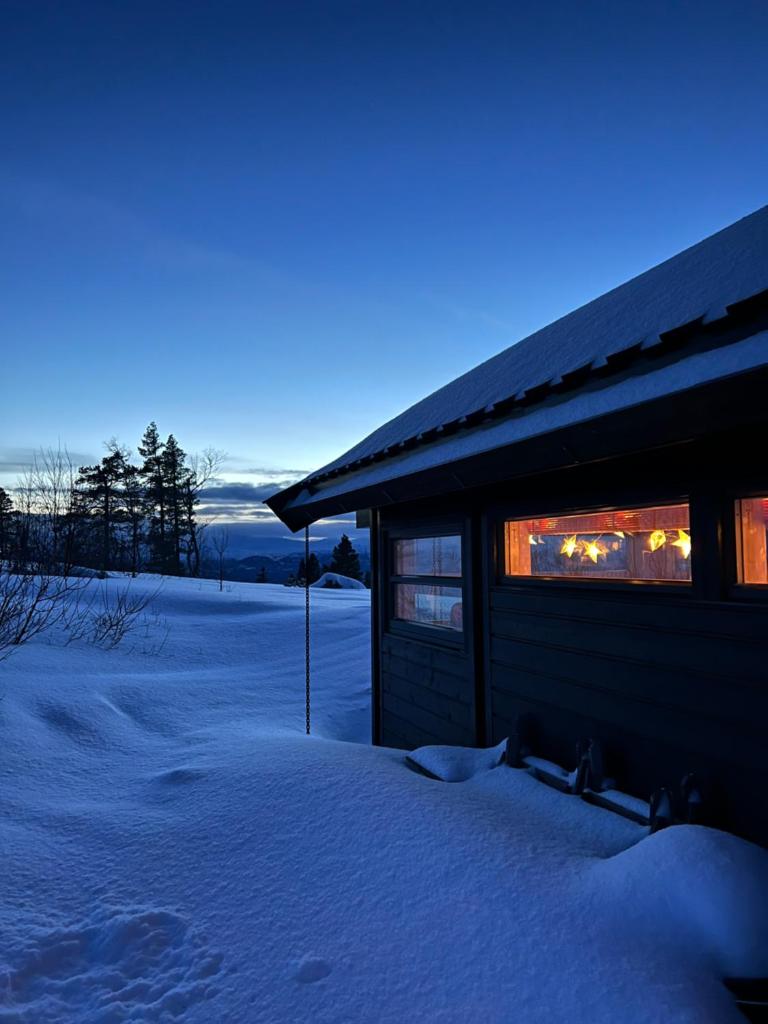 Sveheim - cabin with an amazing view photo 3