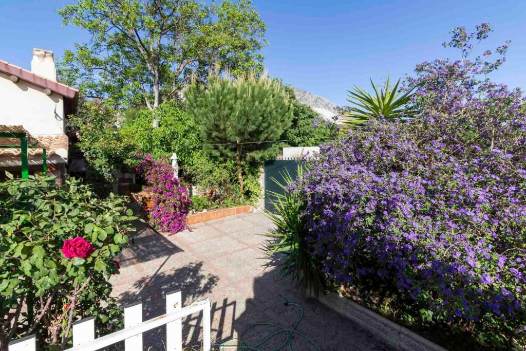 Casa Suryta einzigartiges Landhaus bei Granada photo 1