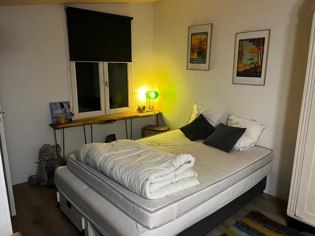 Studio aux portes de Saint-Malo et Jacuzzi photo 3