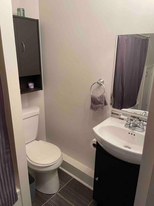 Appartement centre Lévis photo 1