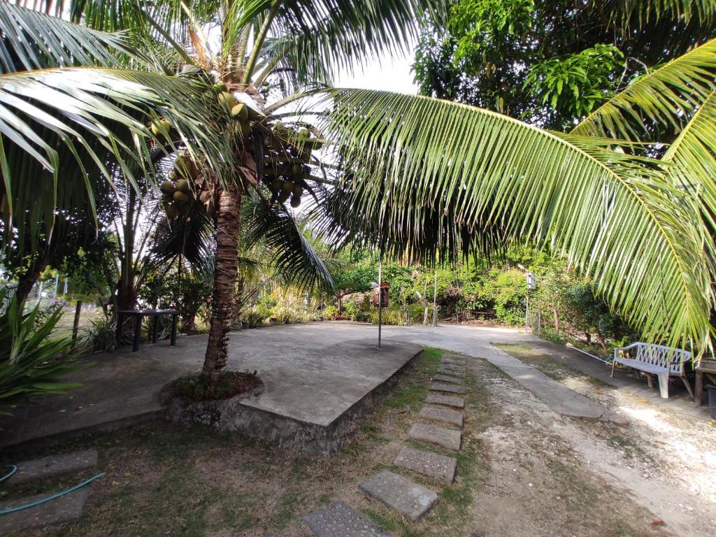 Apoestin homestay photo 2