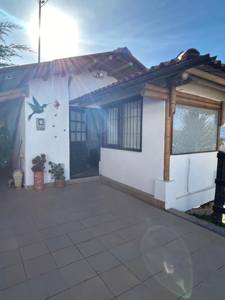 Quynza photo 1