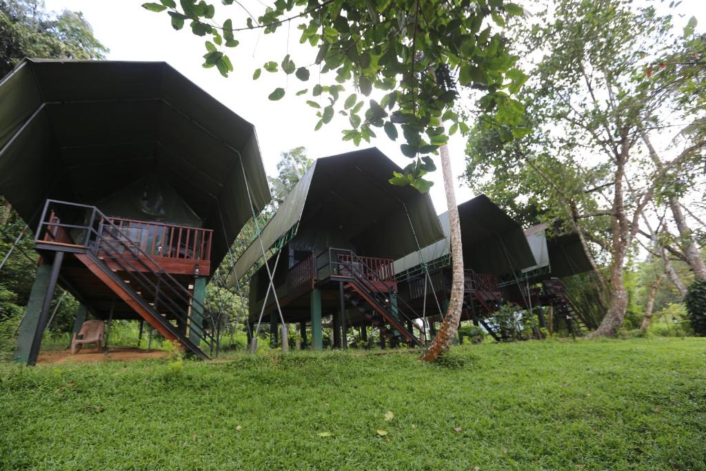 360 Rainforest photo 4