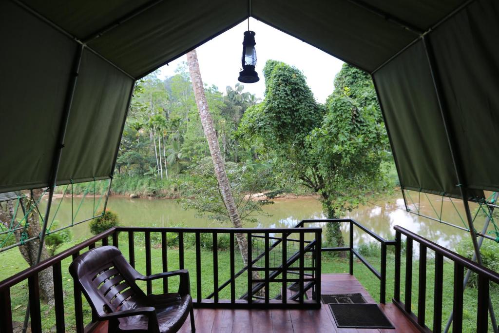 360 Rainforest photo 3