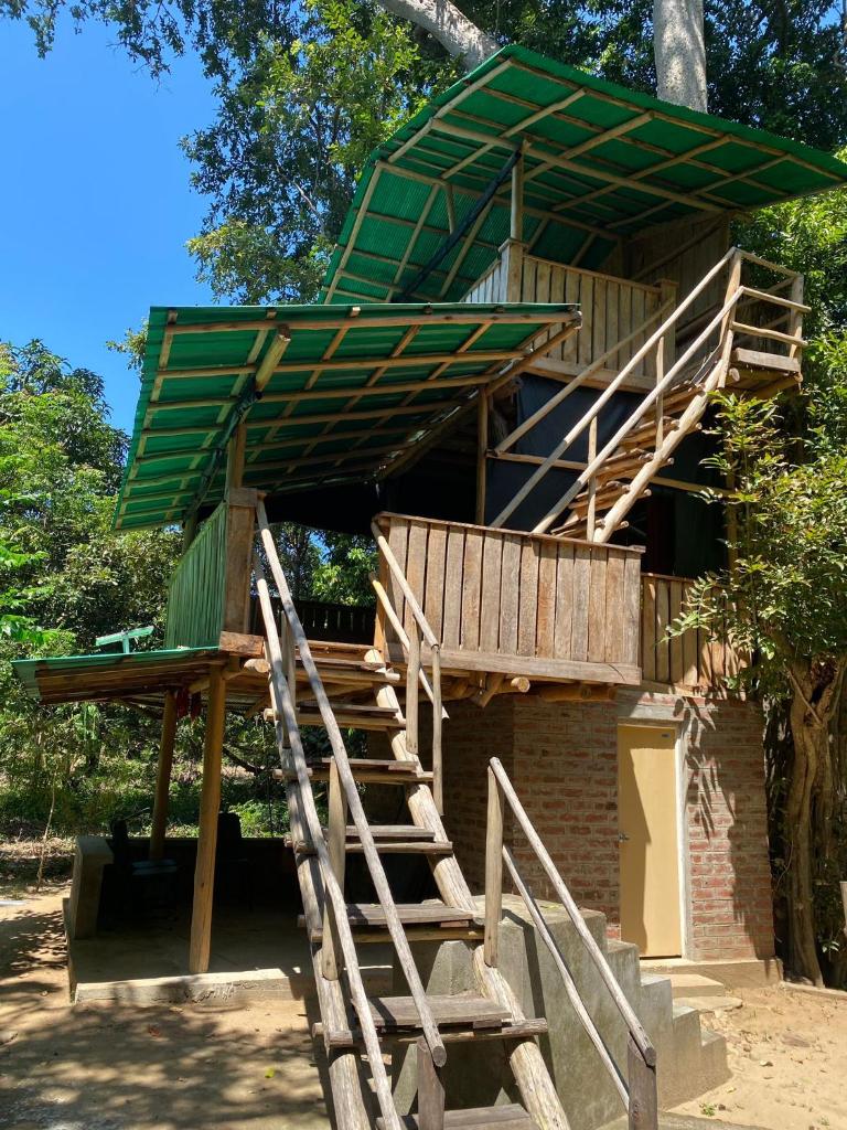 Forest Tree Top Holiday Resort photo 2