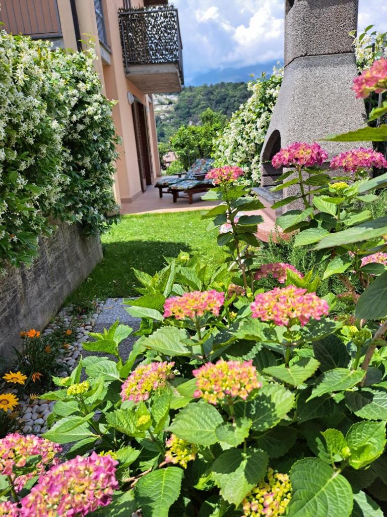 Madonnina terrace e garden photo 3