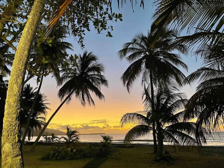 *NEW CampoMar Beachfront 2Bdrm Villa in Arroyo photo 1