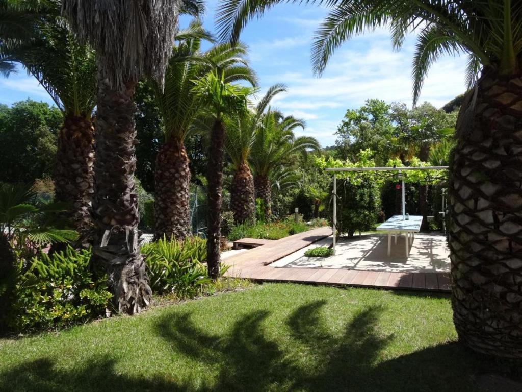 Le Mas de la Palmeraie - Mas 3 dans propriété privée au calme avec piscine et tennis