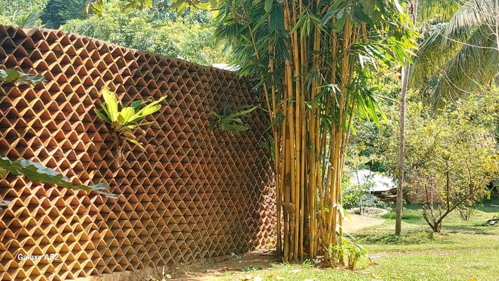 New Nature Palace Villa photo 3