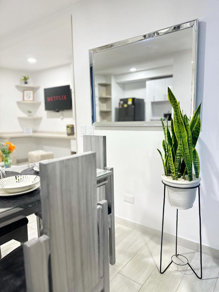 Habitación premium sede 3 photo 4