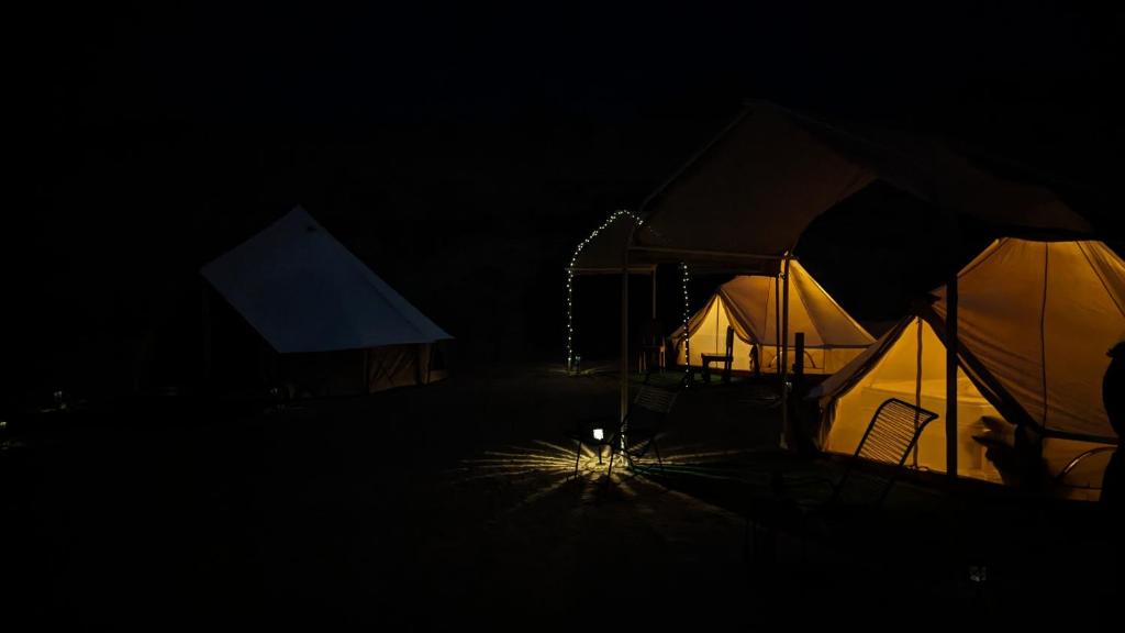 La Window Glamping photo 2