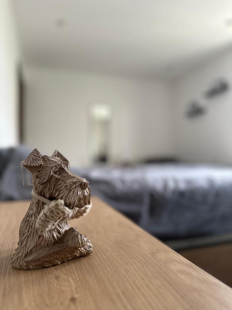 New modern shared apartment - 4KM away from airport photo 3