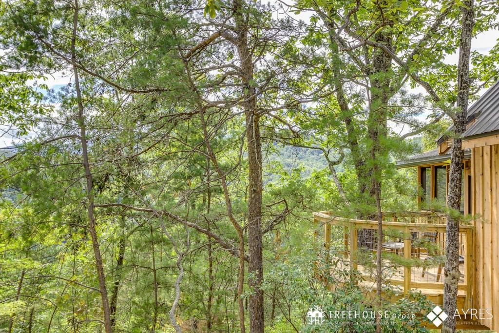 The Spruce in Treehouse Grove at Norton Creek photo 2