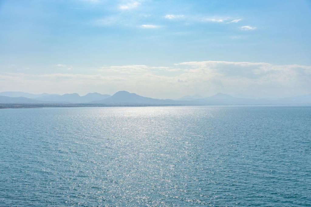 MC 1 Residences photo 3