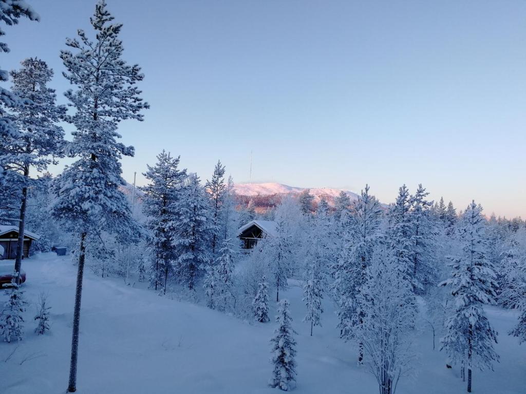 Villa Havu holiday home in Pyhä/Lapland photo 1
