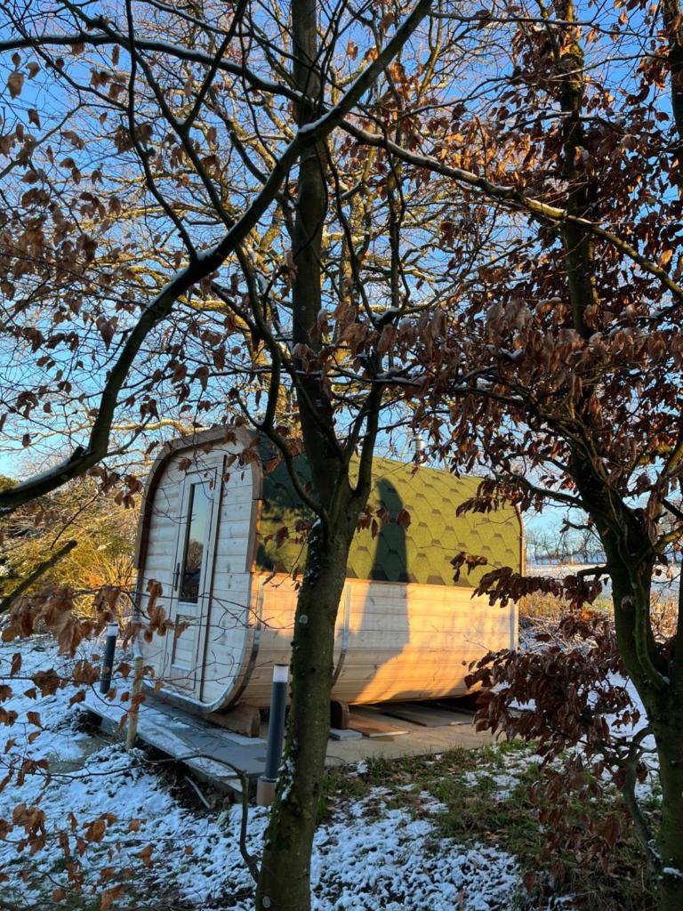 "Un matin au jardin" photo 4