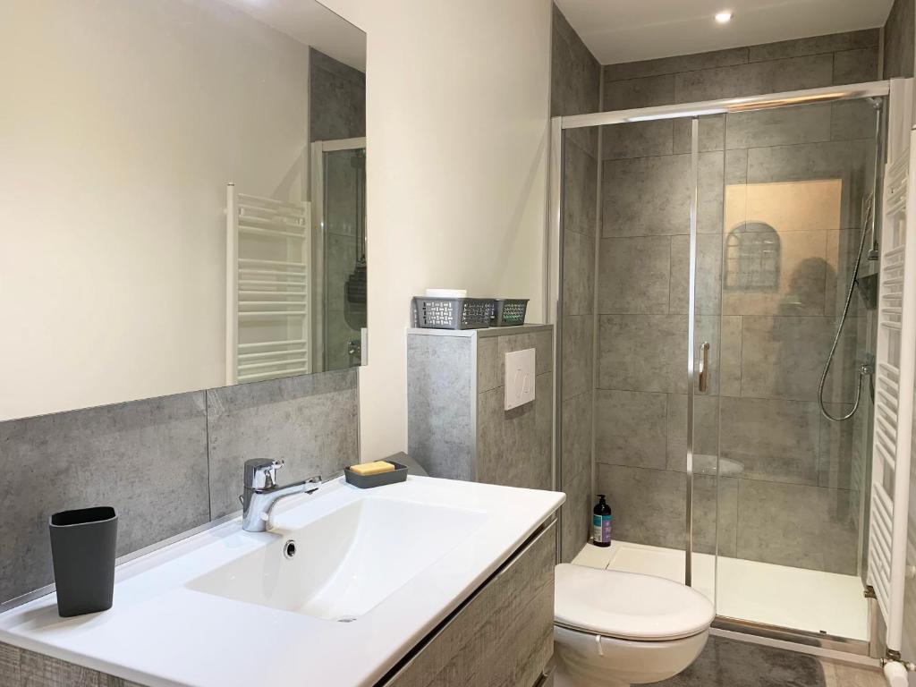 Appartement en duplex spa privatif illimité, animaux admis photo 3