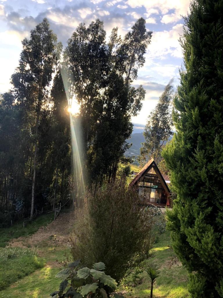 Casa Índigo Tabio photo 4