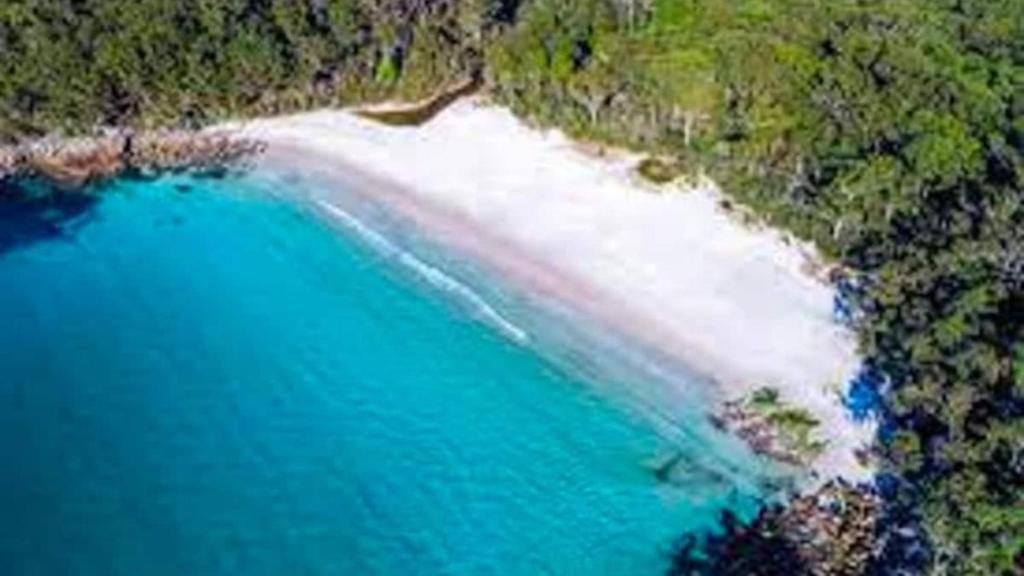 Blenheim Bliss - The Beach on your doorstep! photo 2