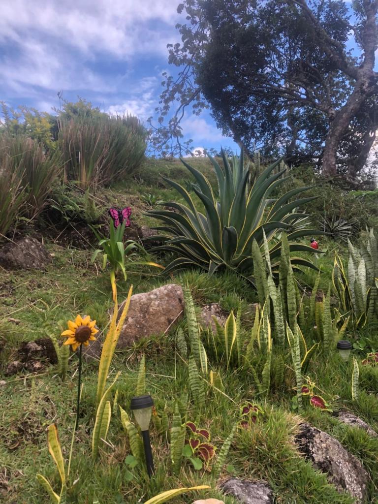 Noelle’s House - Alto Boquete, a natural place to enjoy. photo 2