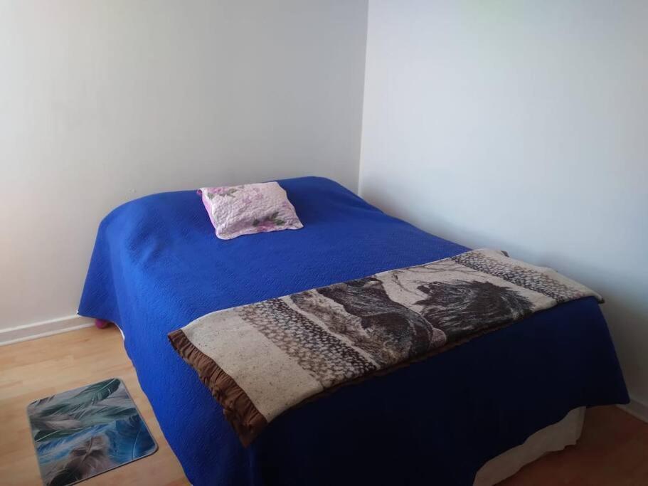 acogedor centrico departamento photo 3