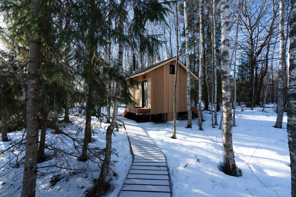 Paunküla Nature Resort (forest villa) photo 1