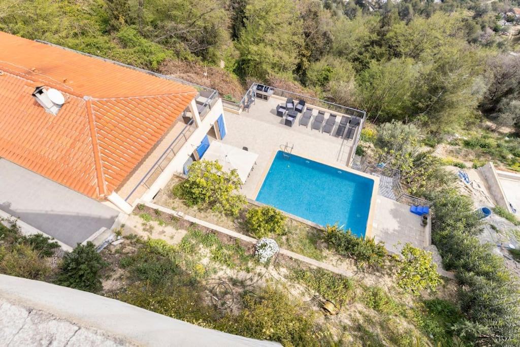 Spacieuse Villa Niçoise au calme avec piscine photo 1